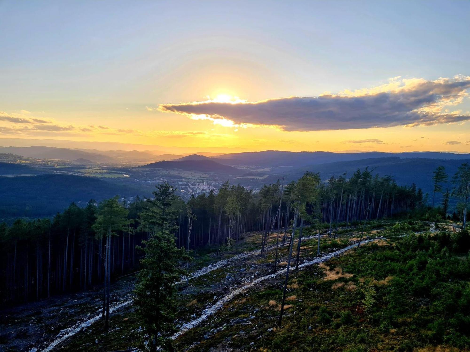 Sloneczne Domki Sudety - Domki Caloroczne Kotlina Klodzka Stary Waliszow Habitación foto